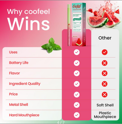 Watermelon Mint Aroma Stick
