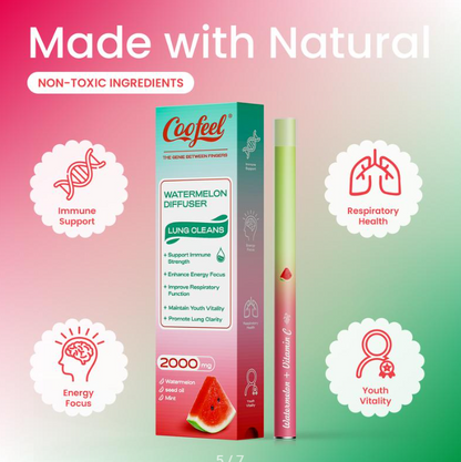 Watermelon Mint Aroma Stick