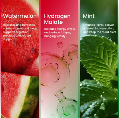 Watermelon Mint Aroma Stick